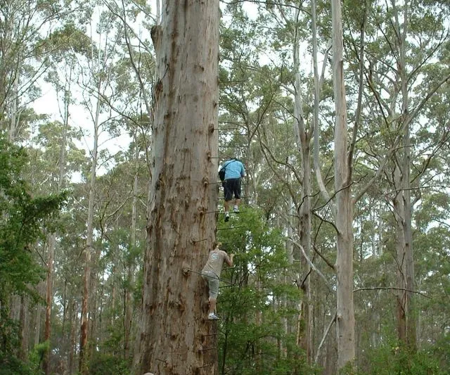Billeder fra Australien 2006 (7)