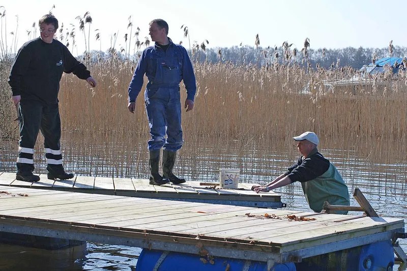 Broer ud på Æbelø 2008 (25)