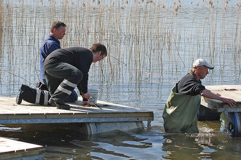 Broer ud på Æbelø 2008 (30)