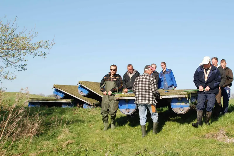 Broer i på Kalvø og Æbelø 2009 (5)