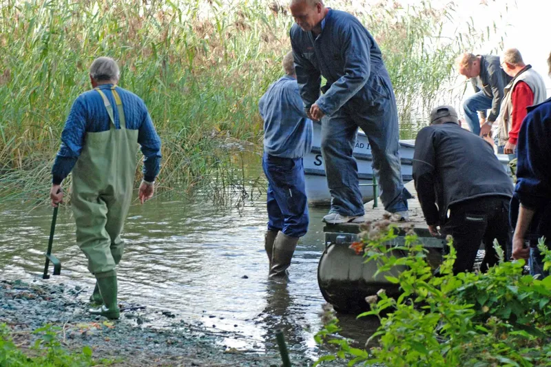 Broer op på Æbelø og Kalvø 2009 (5)