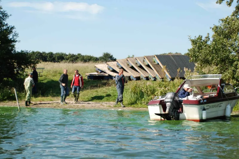Broer op på Æbelø og Kalvø 2009 (14)