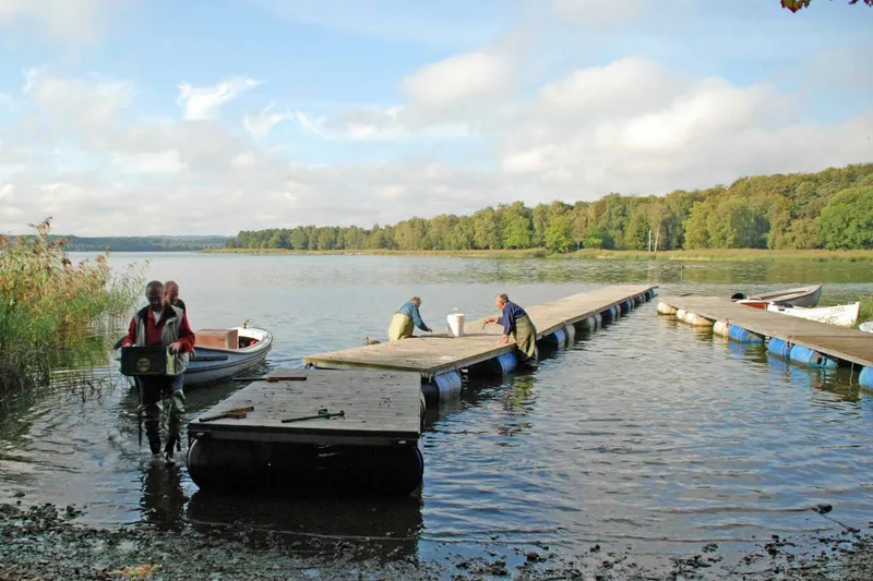 Broer op på Æbelø og Kalvø 2009 (15)