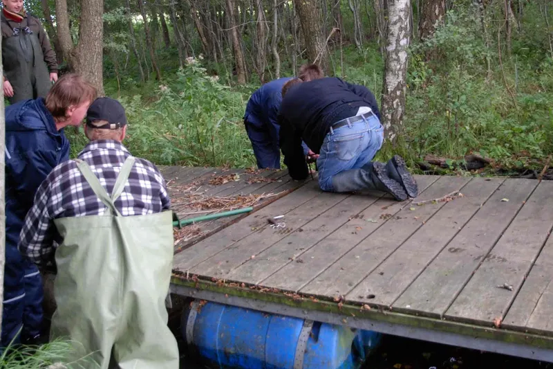 Broer op på Æbelø og Kalvø 2010 (19)