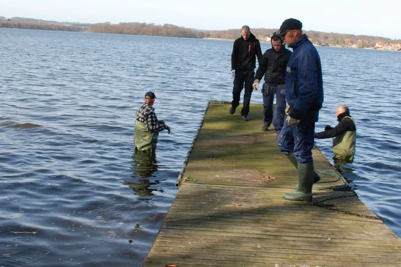 Broer ud på Æbelø og Kalvø 2010 (7)